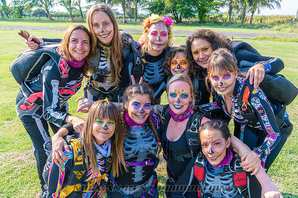 NKP-Synergy Witches Boogie-NKP08724