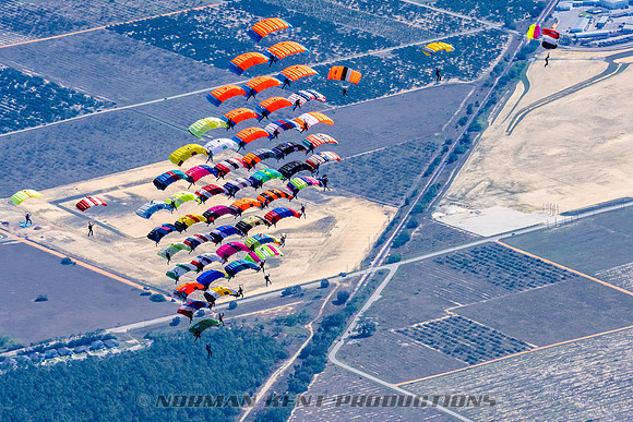 NKP-Canopy Formation Sequential Record 2024-NKP09021