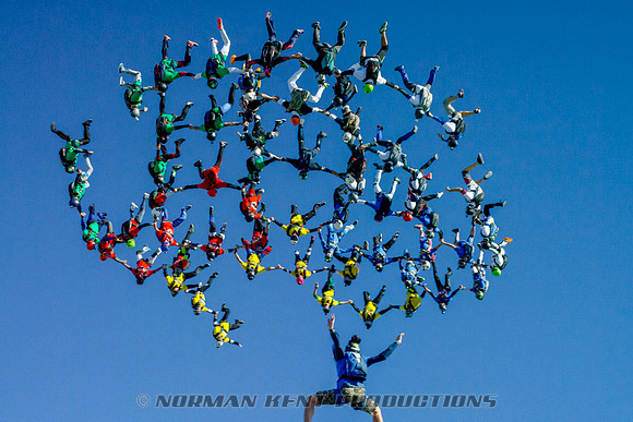 Freefly Sequential Record 2014--18