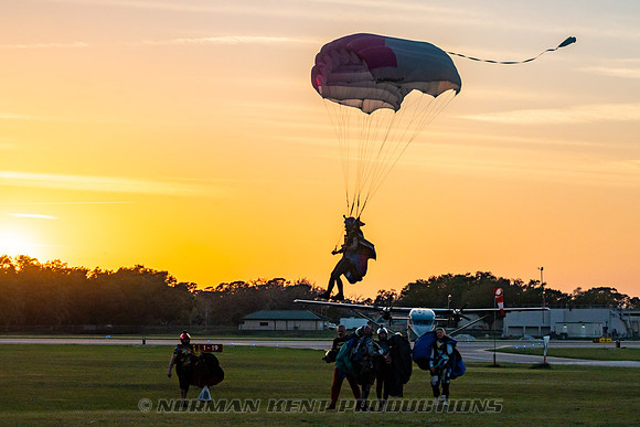 NKP-Flamingo Fest 2025-NKP00698