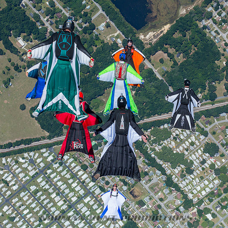 NKP-Flock And Dock 2015-0897