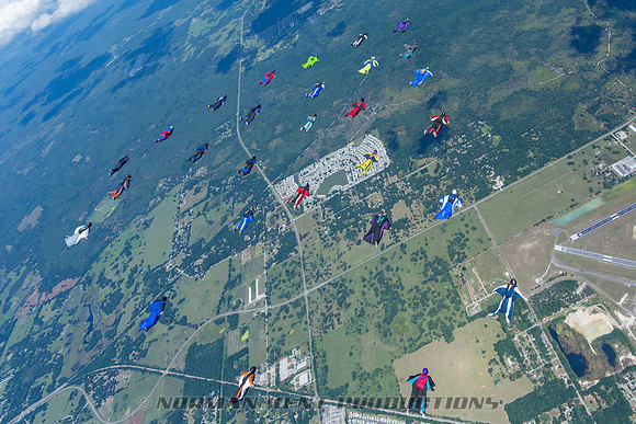 NKP-Flock And Dock 2015-0971