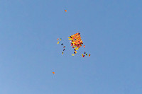 010NKP-Canopy Formation Record 2025-DSC01440-
