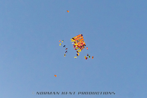 010NKP-Canopy Formation Record 2025-DSC01440-