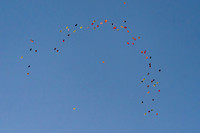 011NKP-Canopy Formation Record 2025-DSC01441-