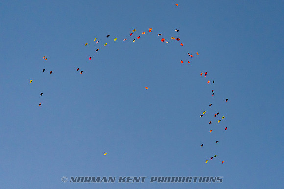 011NKP-Canopy Formation Record 2025-DSC01441-