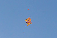 008NKP-Canopy Formation Record 2025-DSC01432-
