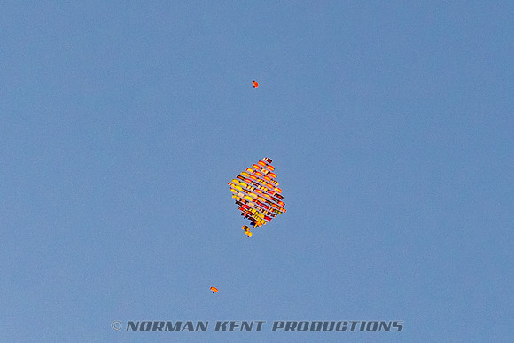 008NKP-Canopy Formation Record 2025-DSC01432-
