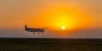 013NKP-Canopy Formation Record 2025-DSC01450-