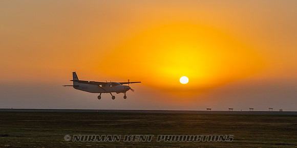 013NKP-Canopy Formation Record 2025-DSC01450-