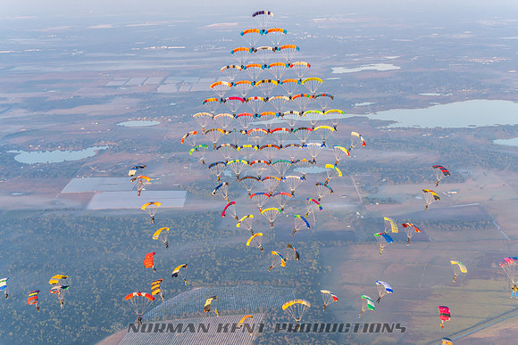 080NKP-Canopy Formation Record 2025-NKP05319-