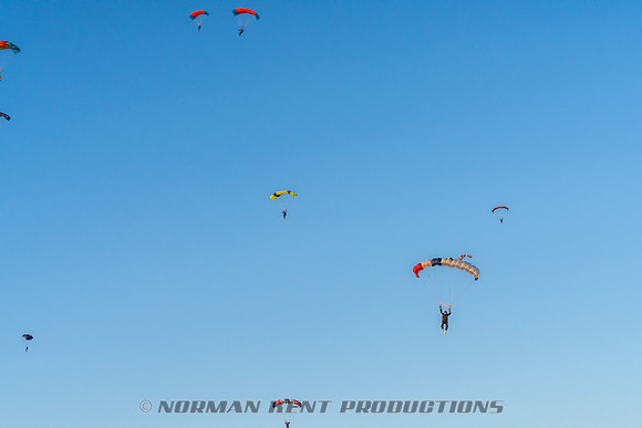 088NKP-Canopy Formation Record 2025-NKP05337-