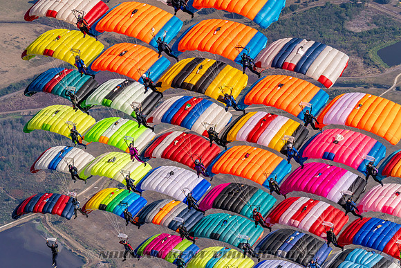 096NKP-Canopy Formation Record 2025-NKP05386-