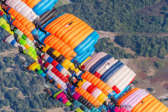 101NKP-Canopy Formation Record 2025-NKP05392-