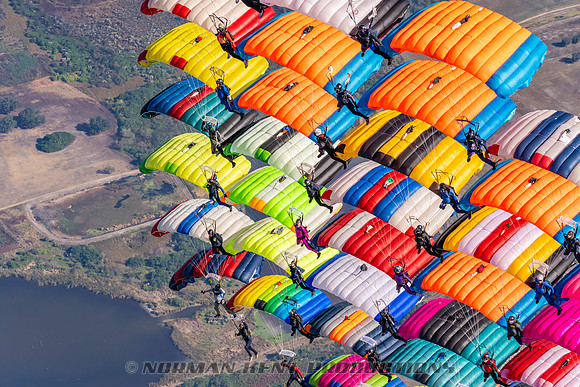098NKP-Canopy Formation Record 2025-NKP05388-