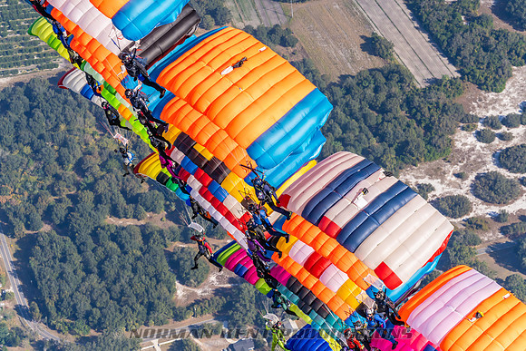 102NKP-Canopy Formation Record 2025-NKP05393-