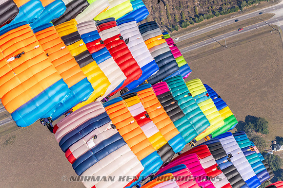 103NKP-Canopy Formation Record 2025-NKP05397-