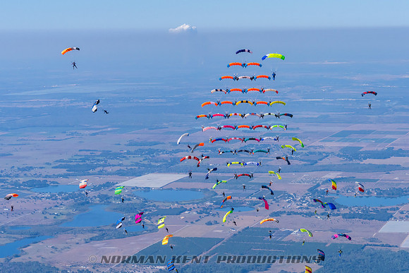 109NKP-Canopy Formation Record 2025-NKP05417-