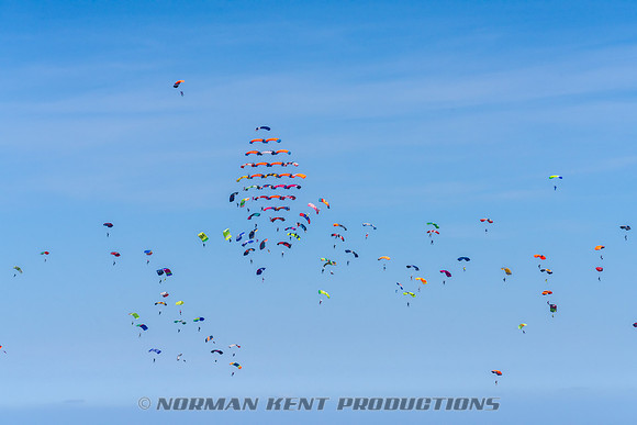 123NKP-Canopy Formation Record 2025-NKP05466-