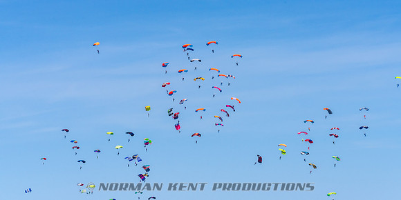 127NKP-Canopy Formation Record 2025-NKP05470-