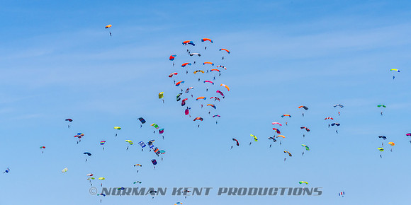 126NKP-Canopy Formation Record 2025-NKP05469-