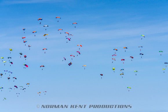 129NKP-Canopy Formation Record 2025-NKP05472-