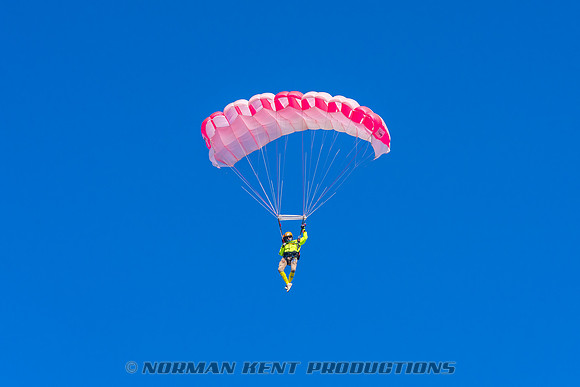 131NKP-Canopy Formation Record 2025-NKP05482-
