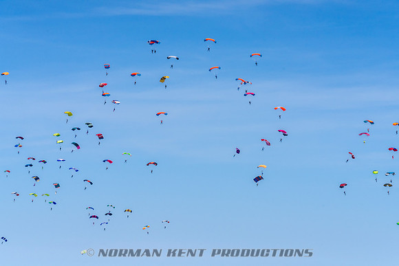 130NKP-Canopy Formation Record 2025-NKP05473-