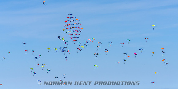 124NKP-Canopy Formation Record 2025-NKP05467-