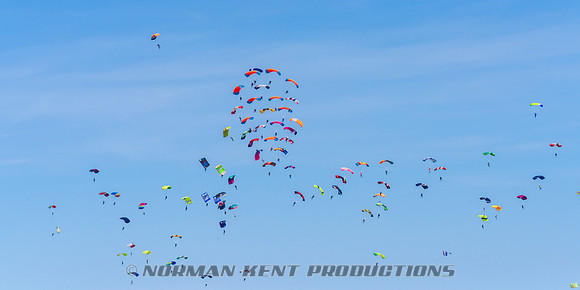 125NKP-Canopy Formation Record 2025-NKP05468-