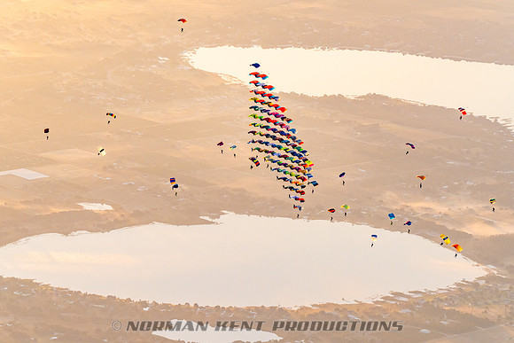 134NKP-Canopy Formation Record 2025-NKP05491-
