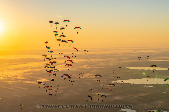 151NKP-Canopy Formation Record 2025-NKP05525-