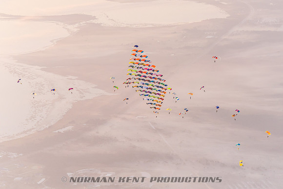 178NKP-Canopy Formation Record 2025-NKP05649-