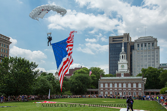 NKP-Flag Day 2015-by NK-3328