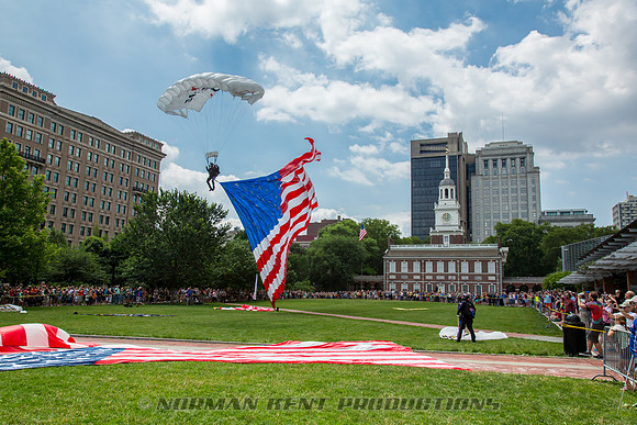NKP-Flag Day 2015-by NK-3330