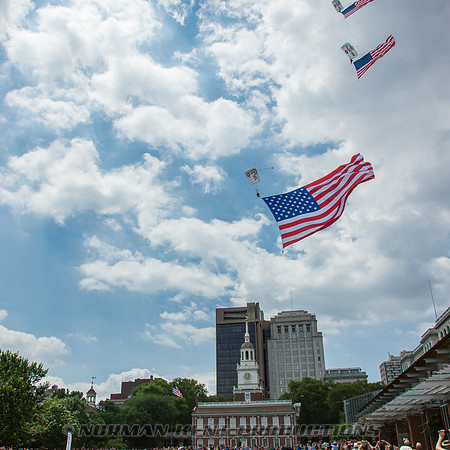 NKP-Flag Day 2015-by NK-3342