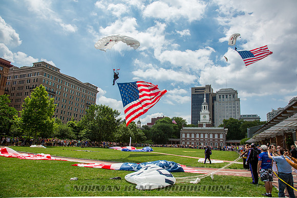 NKP-Flag Day 2015-by NK-3390