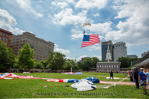 NKP-Flag Day 2015-by NK-3407