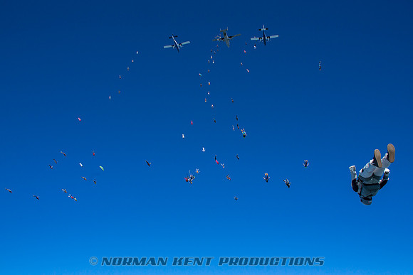 NKP-Summerfest 2015-837A6402