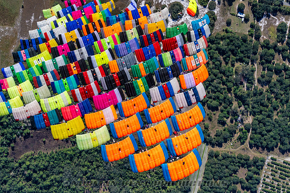 NKP-Canopy Formation Sequential Record 2024-NKP09905