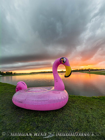 NKP-Flamingo Fest 2026-IMG_3174