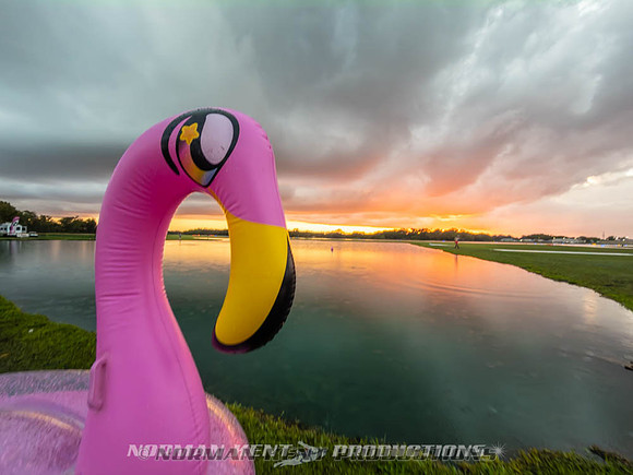 NKP-Flamingo Fest 2026-IMG_3175