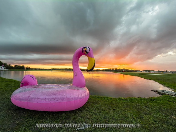 NKP-Flamingo Fest 2026-IMG_3172