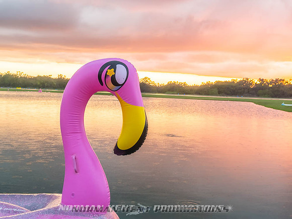 NKP-Flamingo Fest 2026-IMG_3178