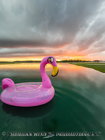 NKP-Flamingo Fest 2026-IMG_3186
