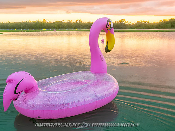 NKP-Flamingo Fest 2026-IMG_3189