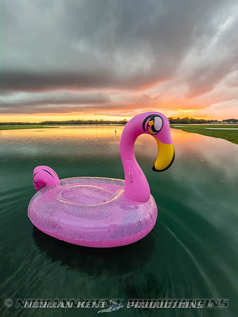 NKP-Flamingo Fest 2026-IMG_3185