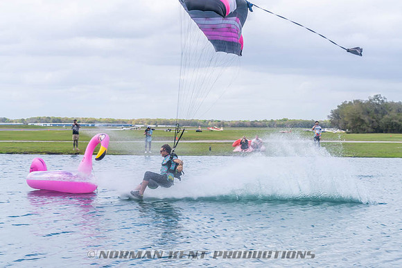 NKP-Flamingo Fest 2026-NKP03286