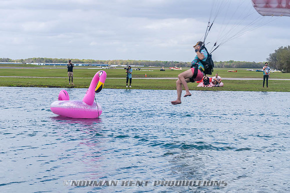 NKP-Flamingo Fest 2026-NKP03293