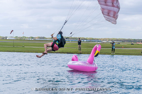 NKP-Flamingo Fest 2026-NKP03294